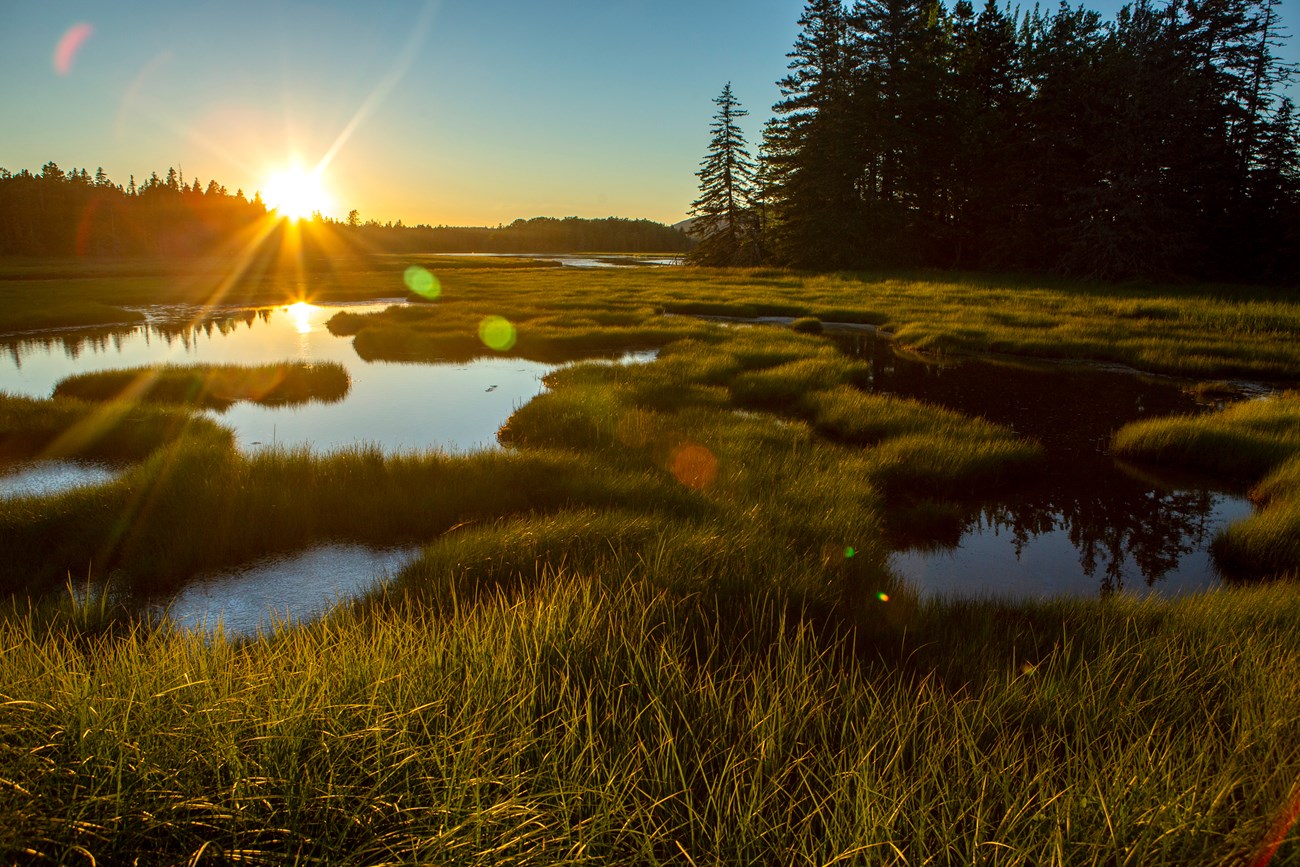 Scenic landscape photograph of sunset over a marsh with pockets of tall grass between expanses of open water