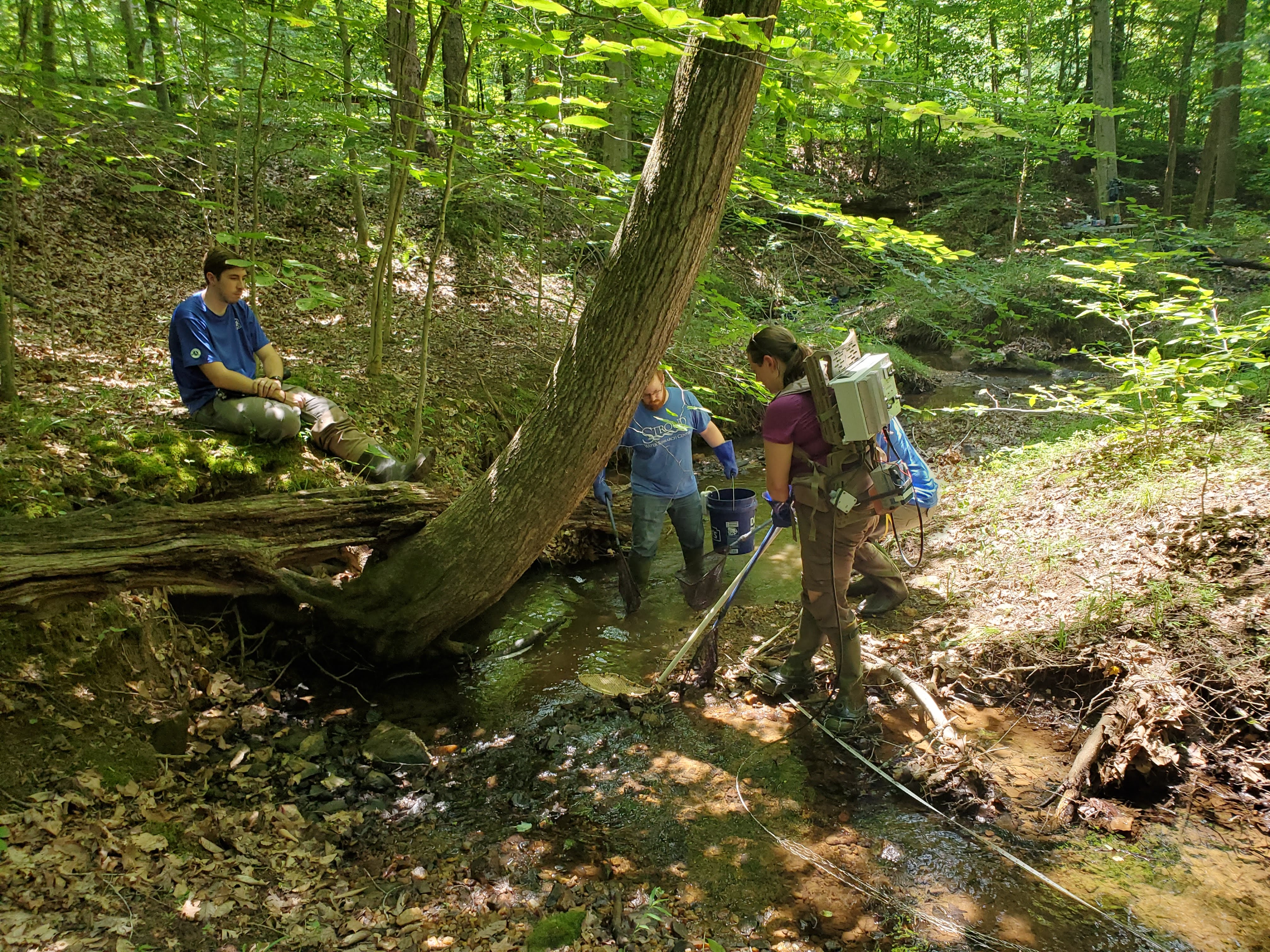 A scene showing four scientists near a stream. Two scientists stand in the stream, both holding nets, one holding a bucket, and the other holding a probe and carrying machinery; the other two watch from the stream bank.