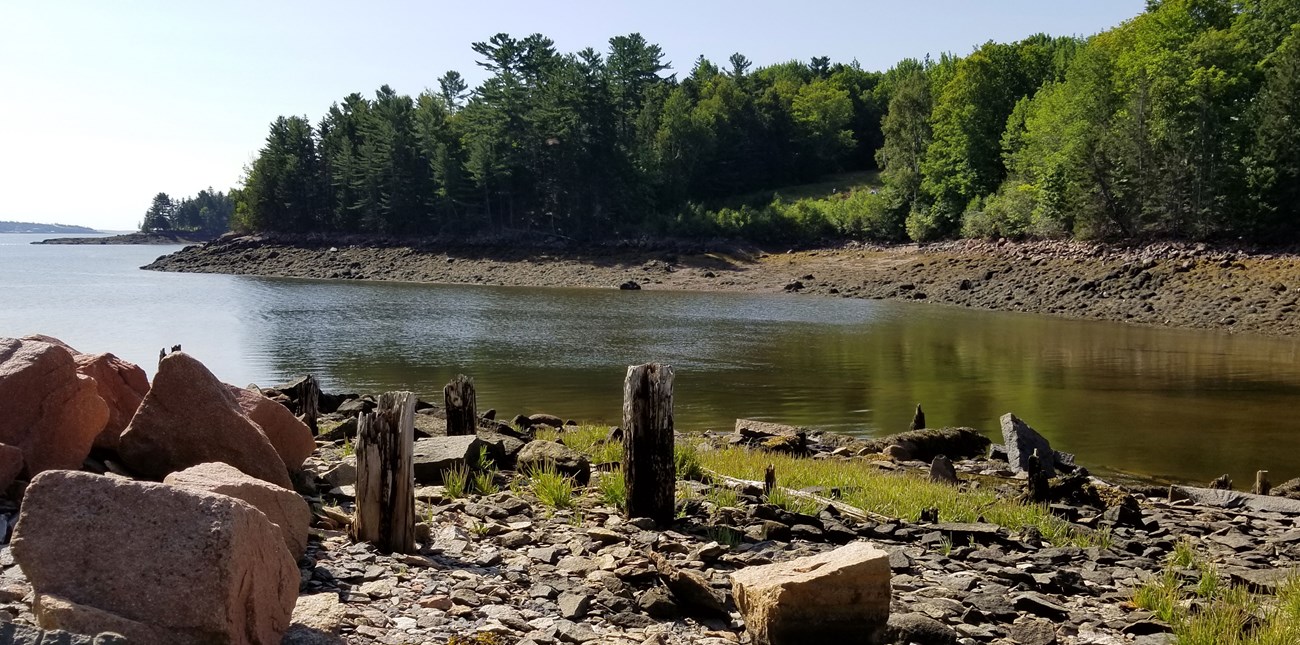 rotting timbers poke upwards surrounded by rocks in a wooded cove