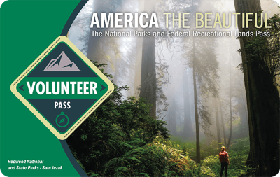 A Volunteer Pass with a photo of a person standing in a misty forest.