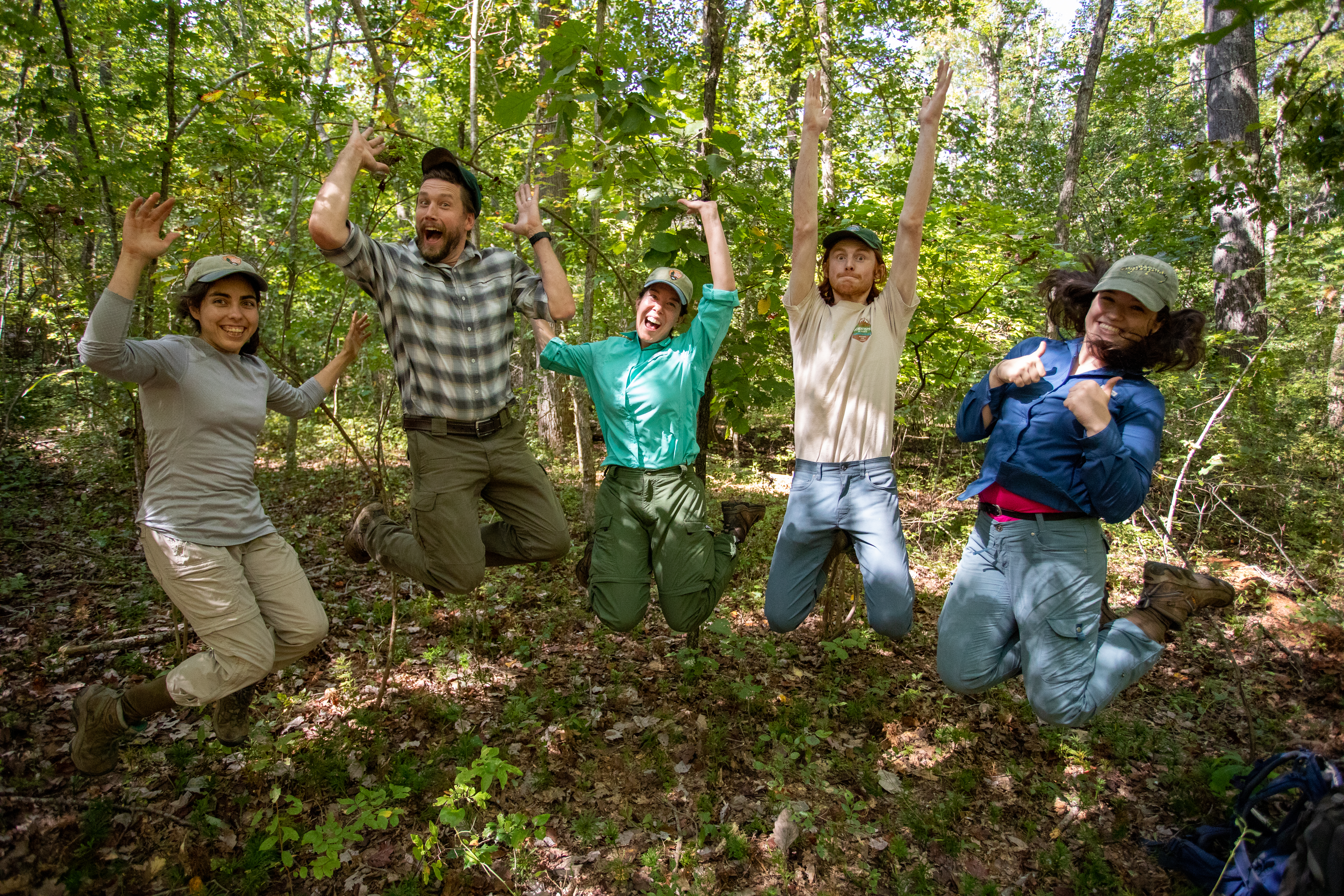 A Forest Monitoring Cycle Like No Other (U.S. National Park Service)