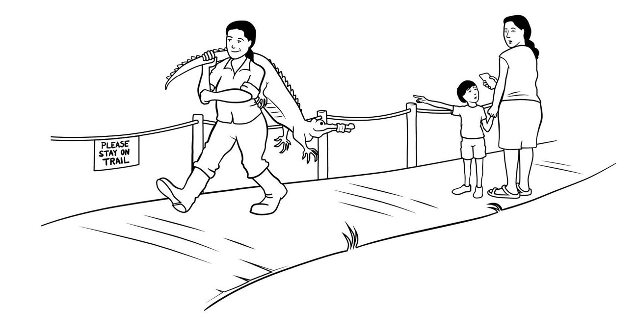 a drawing of a woman holding an alligator while walking down a trail marked with a sign that says "please stay on trail." A child holding a shocked woman's hand points at the woman with the alligator.