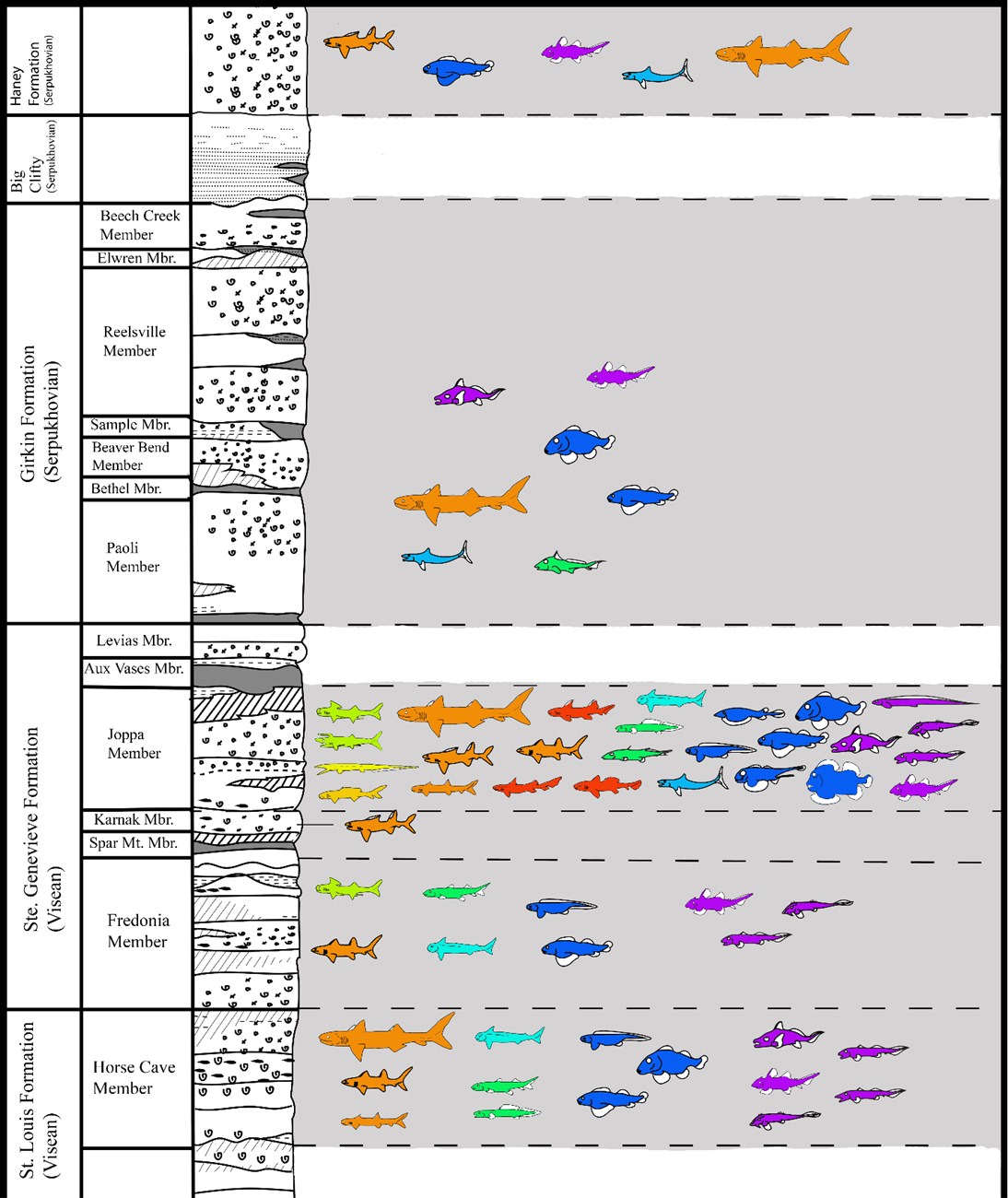 geologic stratographic column drawing showing rock layers with small outline icons to represent fishes and sharks that occur in each rock layer.