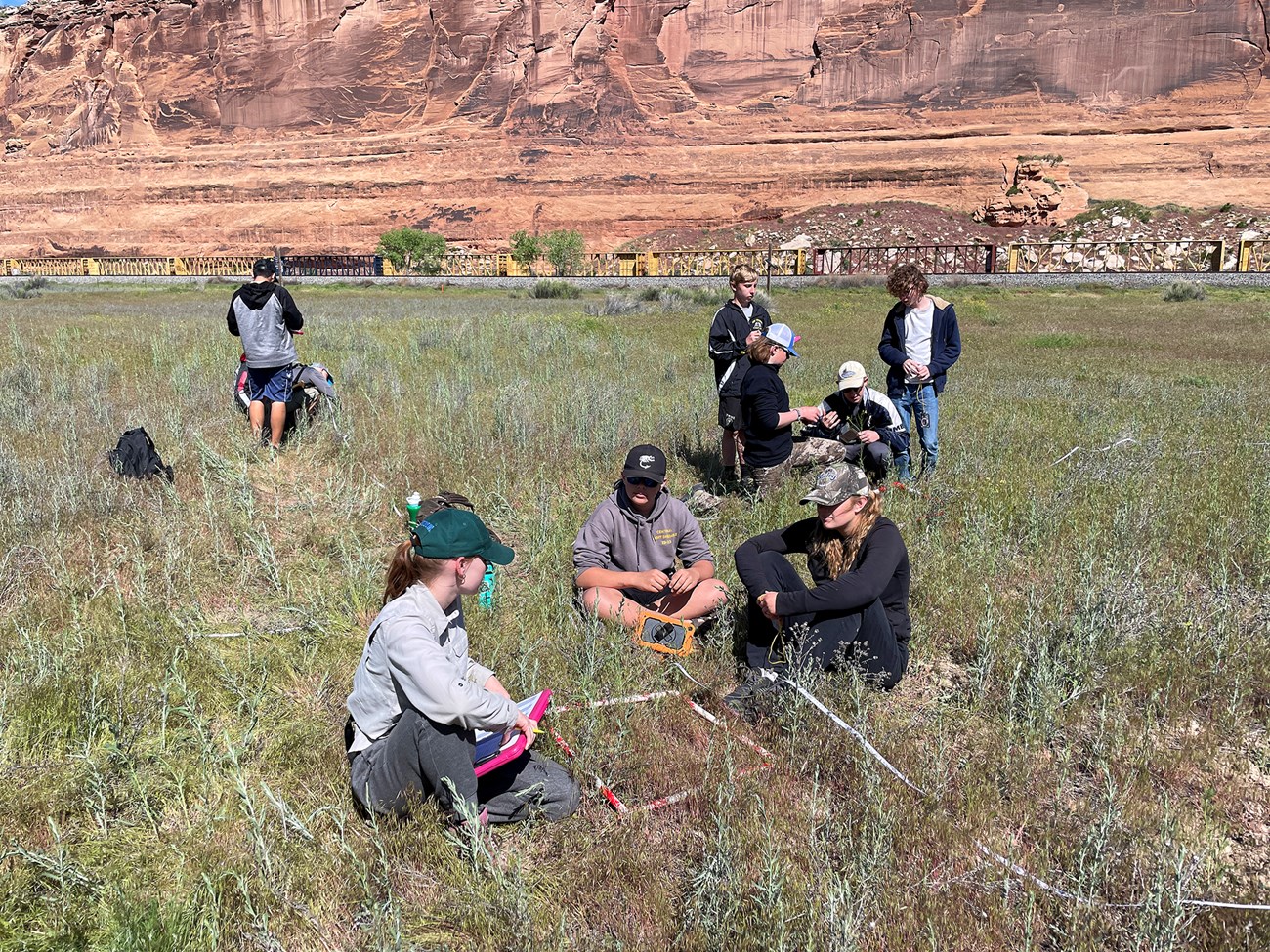 Groups of students sitting or standing in green vegetation against a backdrop of red-rock canyon walls.