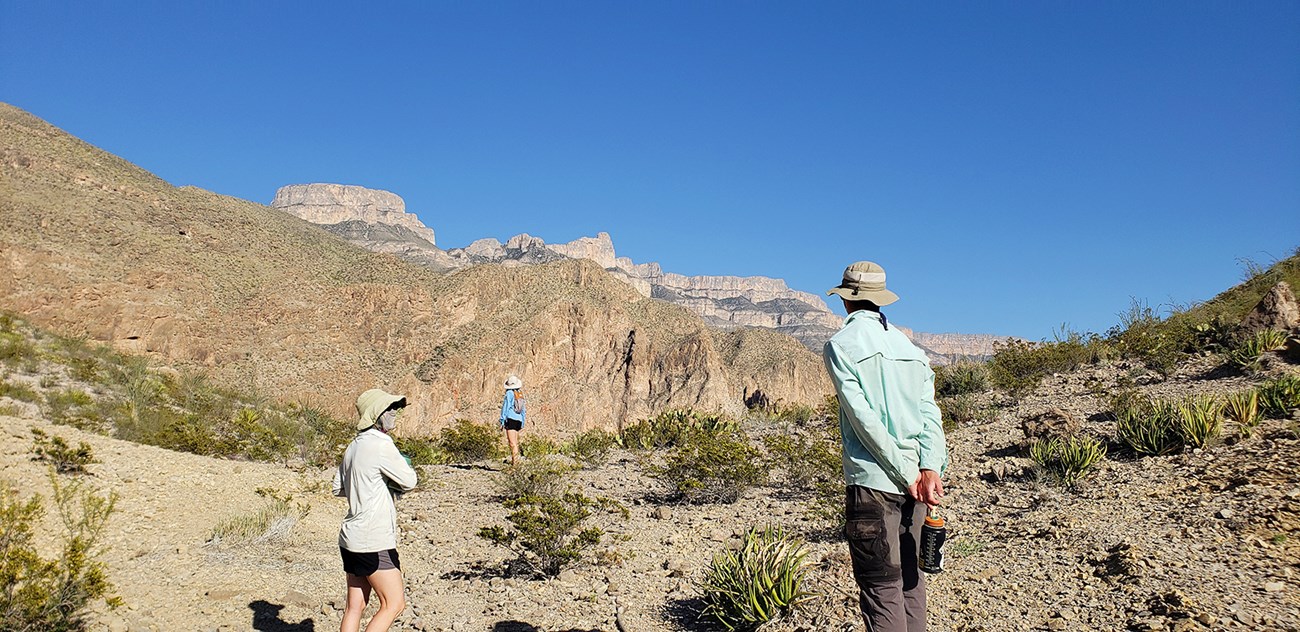 Three people with their back to the camera look at a desert landscape. The one in front is holding a water bottle.