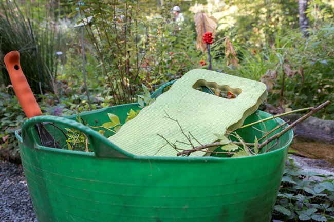Gardening basket filled with weeds and tools.