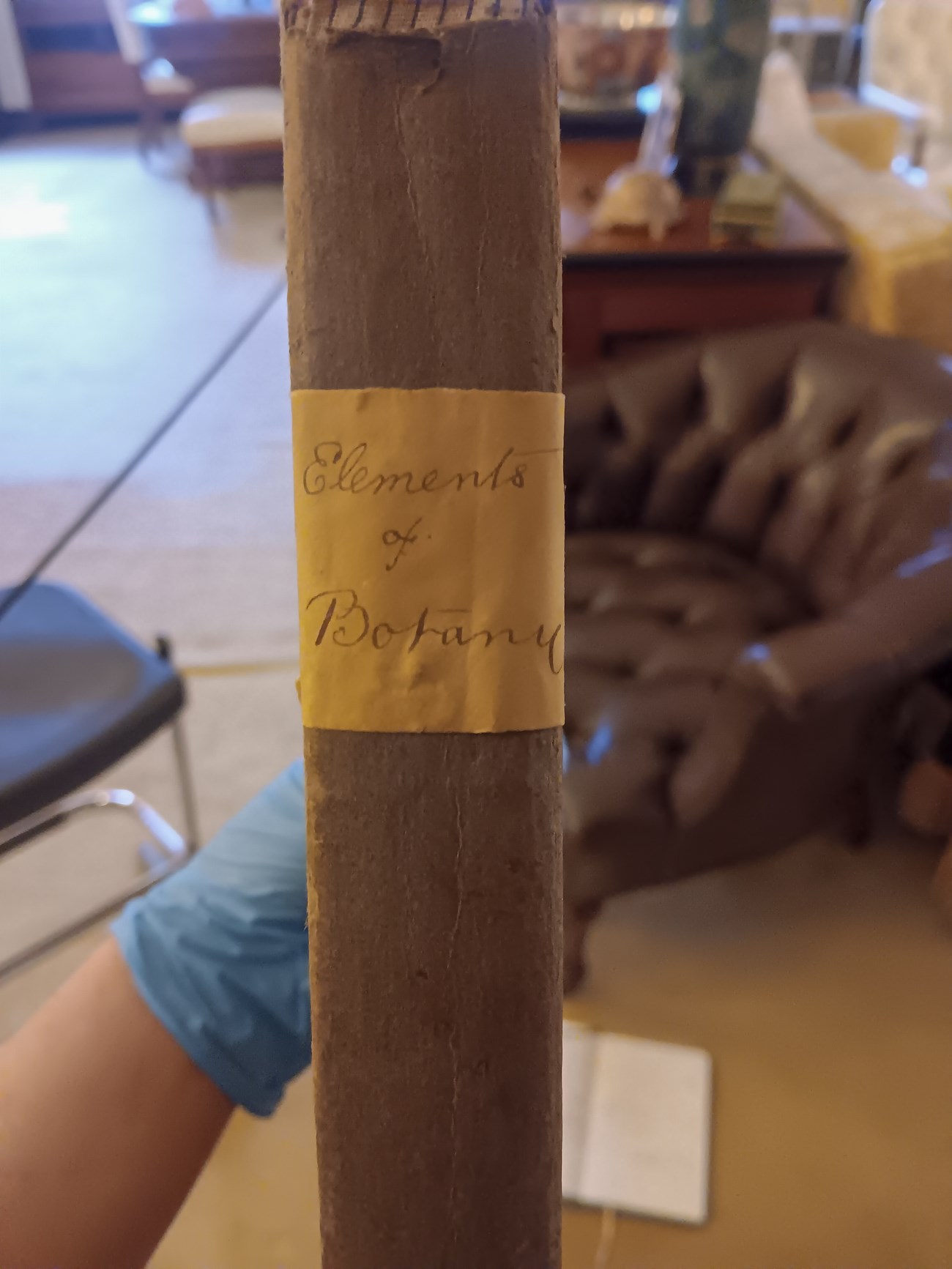 spine of book with handwritten title "elements of botany"