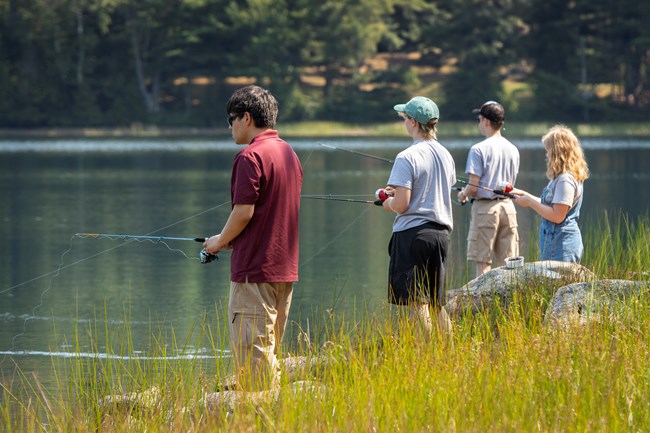 Four teenagers fishing at a lake.