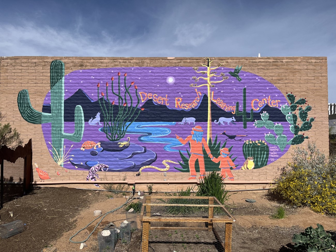 A 300 square foot mural on an orange brick wall. The mural has a purple background and depicts a desert scene of animals and hikers at night.