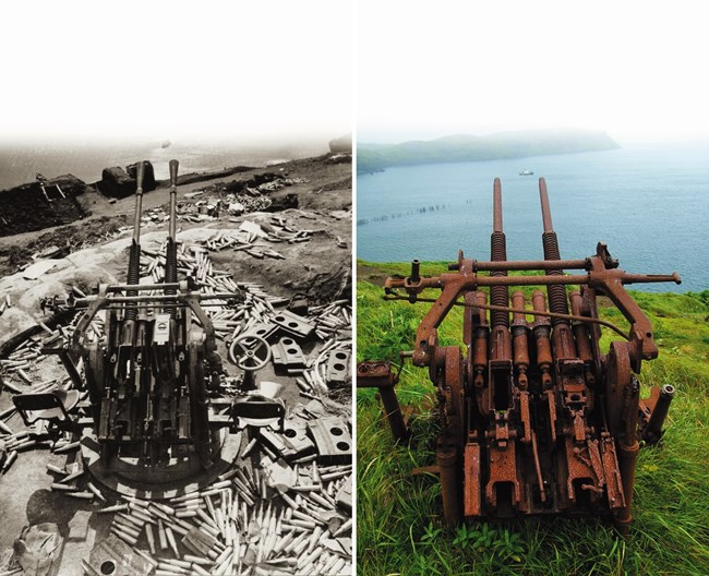 Two photos of the same type of large, twin barrelled gun. One is black and white with shell casing around it, and the color is of the rusted gun in a grassy field.