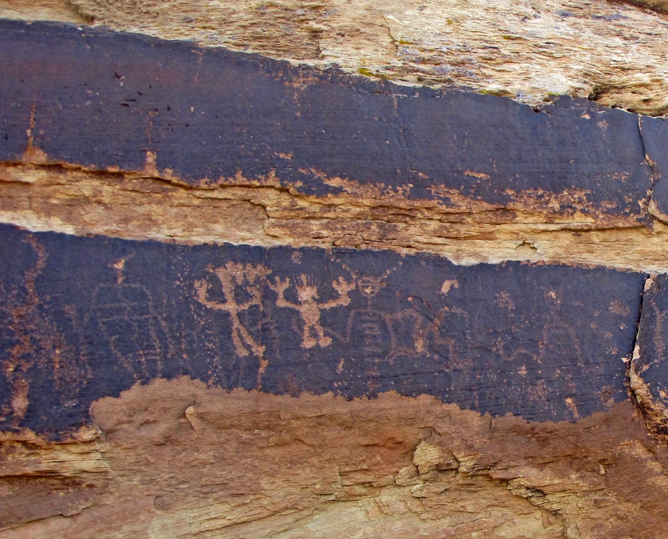 Newer petroglyphs at Petrified Forest National Park have brighter lines than older ones.