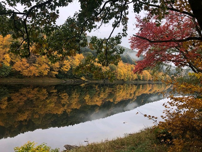 Fall foliage reflected in the Delaware River