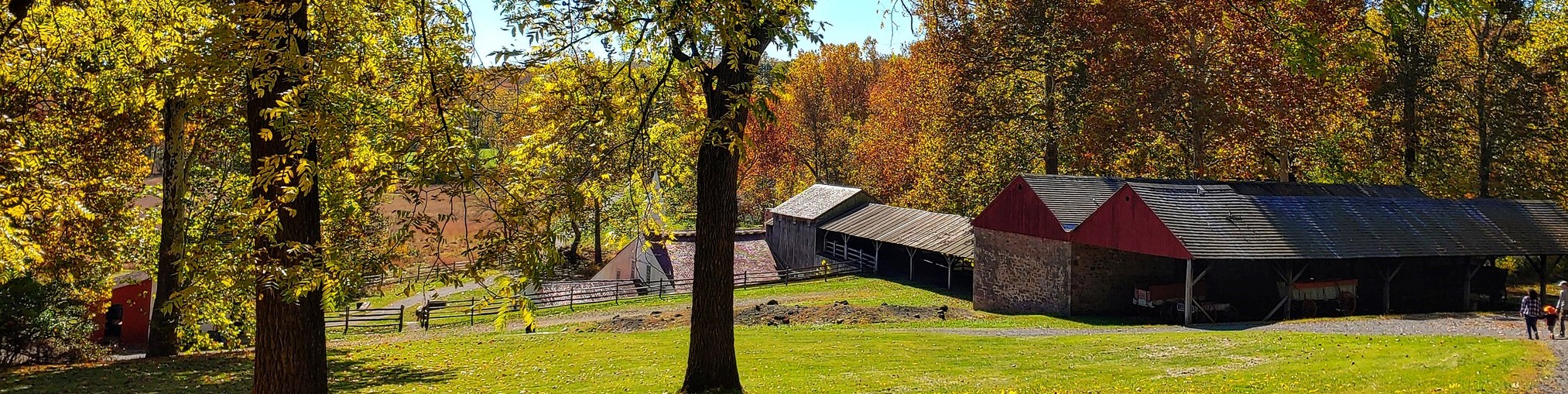 Large trees with fall foliage around the furnace