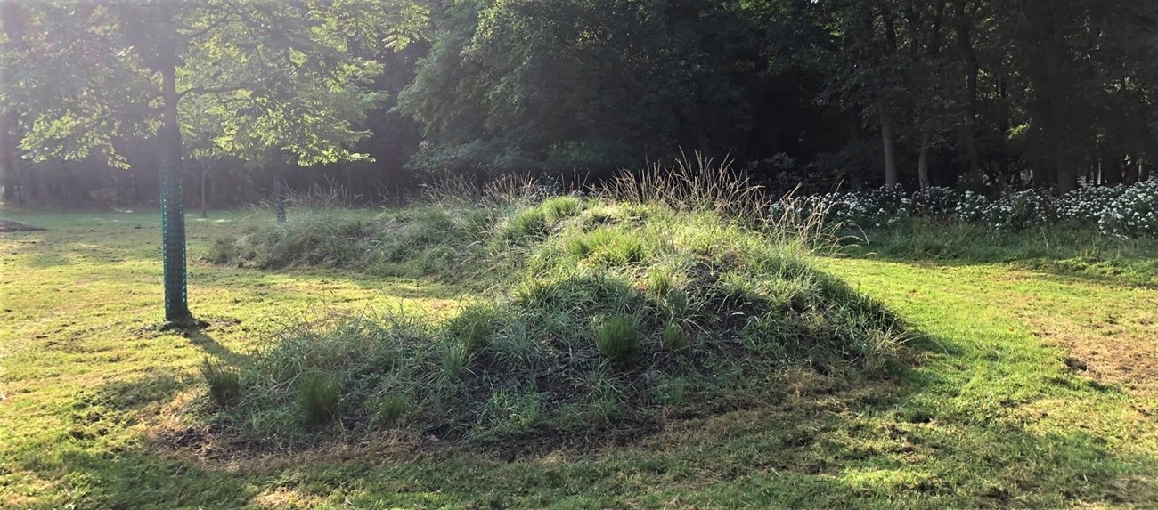 Serpent Mound in park