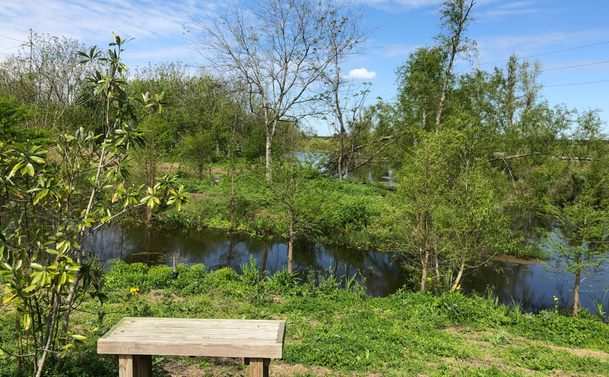 A bench and stream at Sankofa