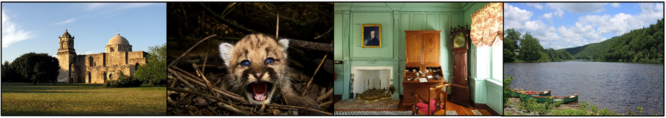 Row of photos including a Spanish mission; a mountain lion cub; a desk in an historic home; and canoes next to a river