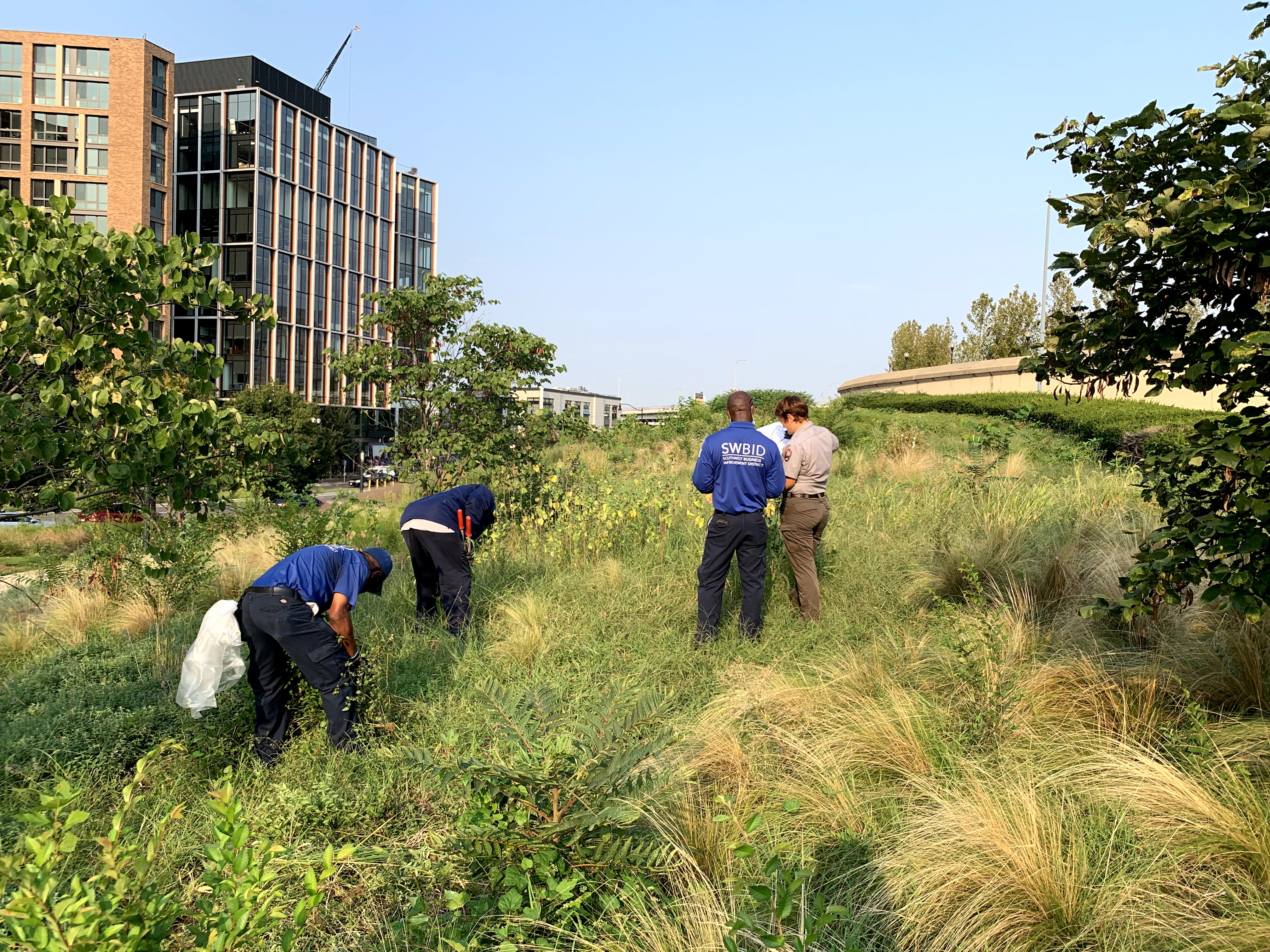 Southwest Business Improvement District staff meet with National Mall park rangers to identify areas of work for an upcoming service day.