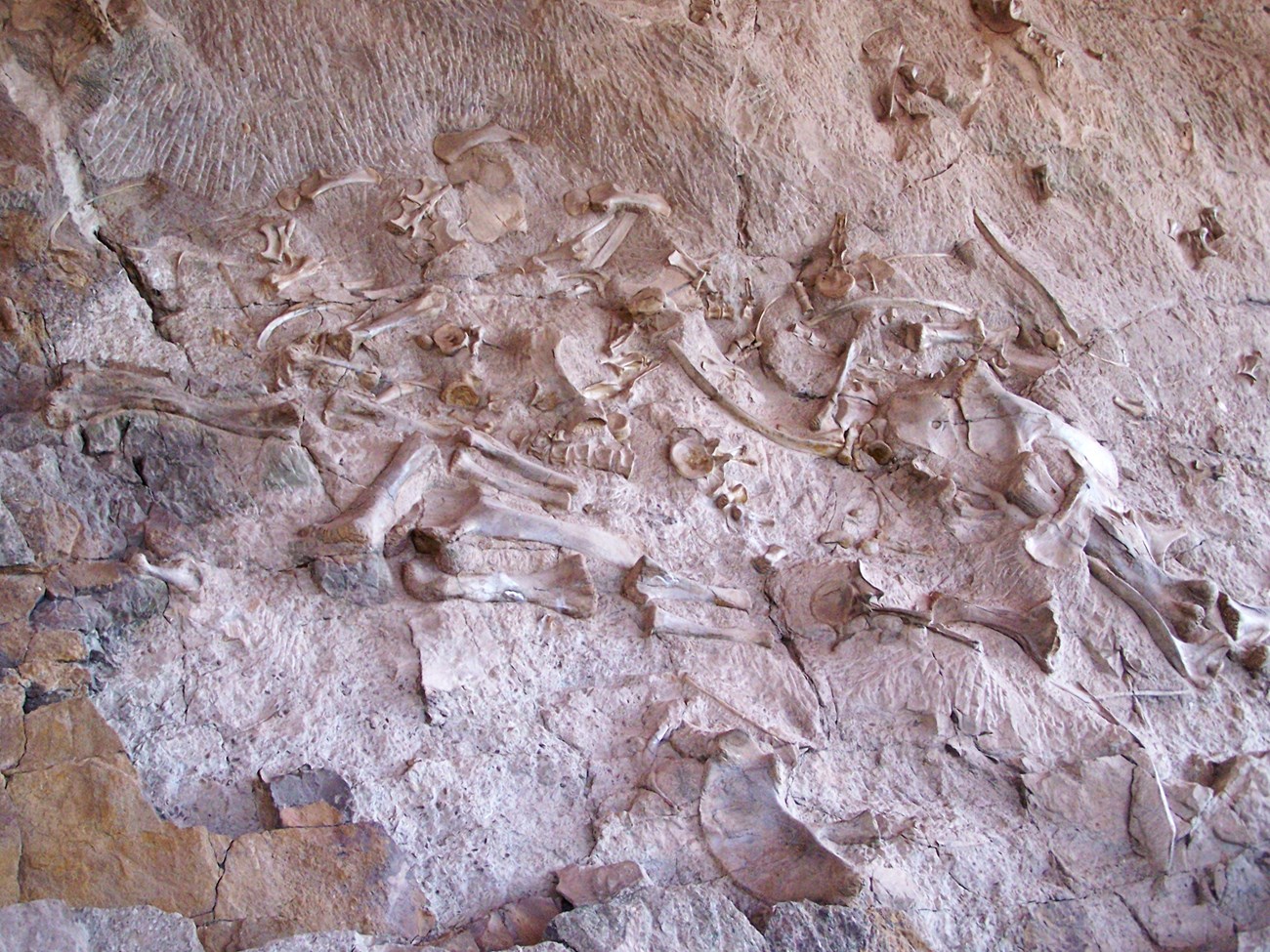 photo of a fossil quarry