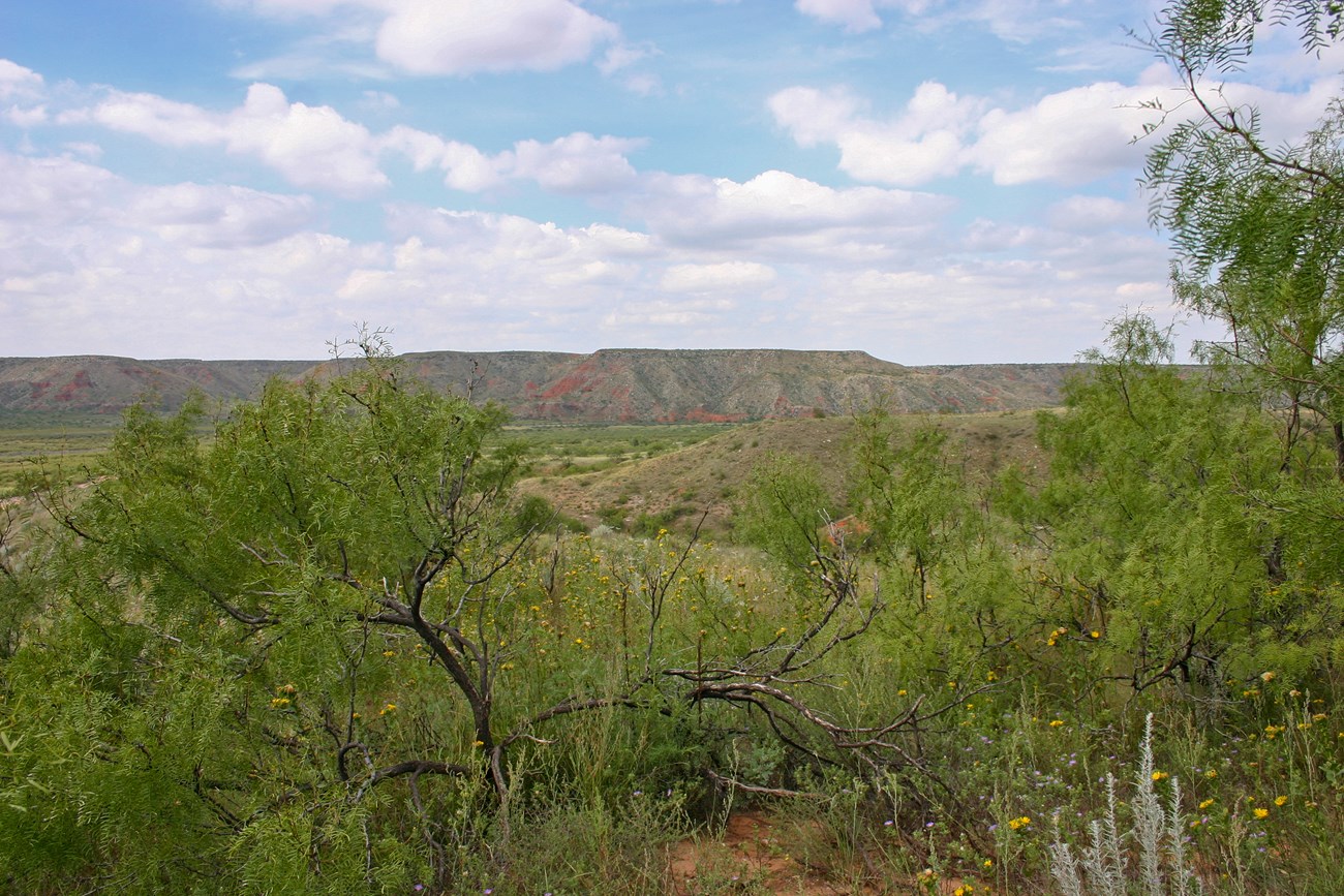 Green and red hills with vibrant foliage in the foreground.