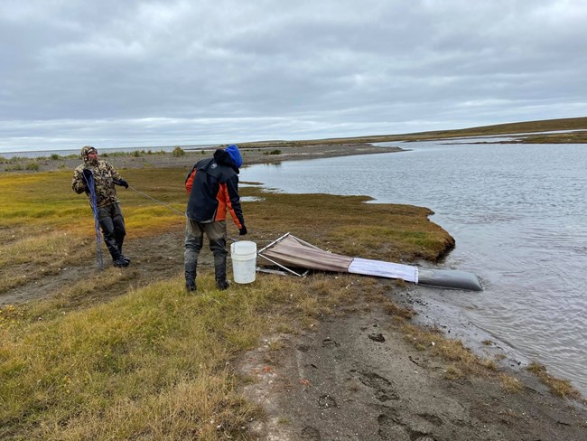 Two people work to pull in a shrimp town net from the shoreline of a lagoon.