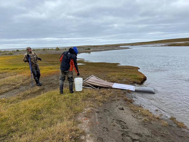 Researchers on an Arctic beach sample with a net.