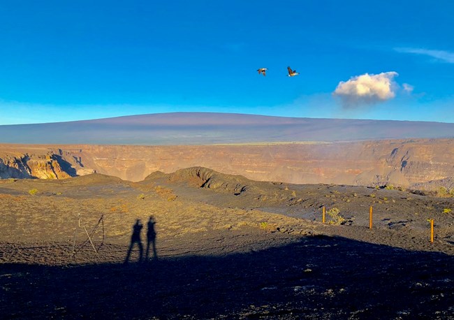 Nēnē flying over crater during sunrise.