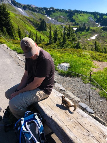 A small squirrel approaches a man sitting on a wooden bench.