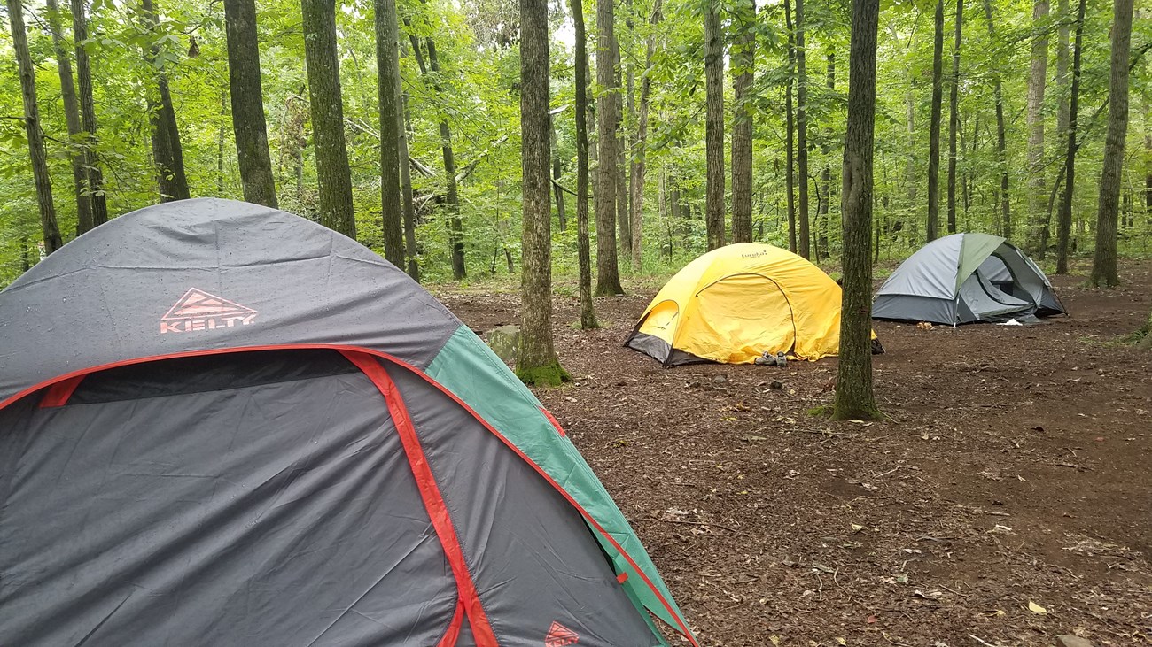 Three tents set up at the Chesapeake & Ohio Canal National Historical Park.