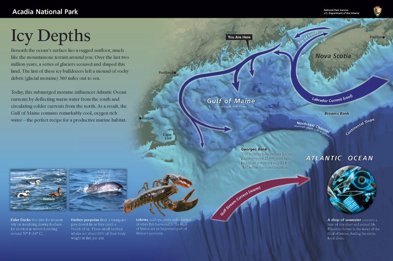 Wayside depicting the Gulf of Maine