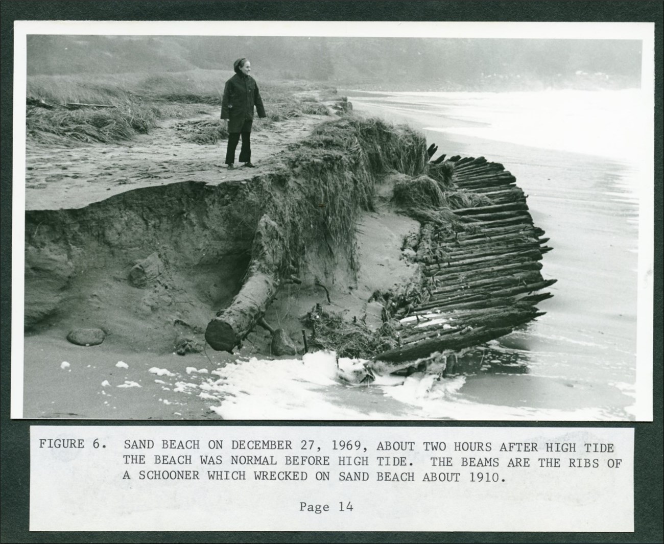 Person surveys boards sticking from eroded shore