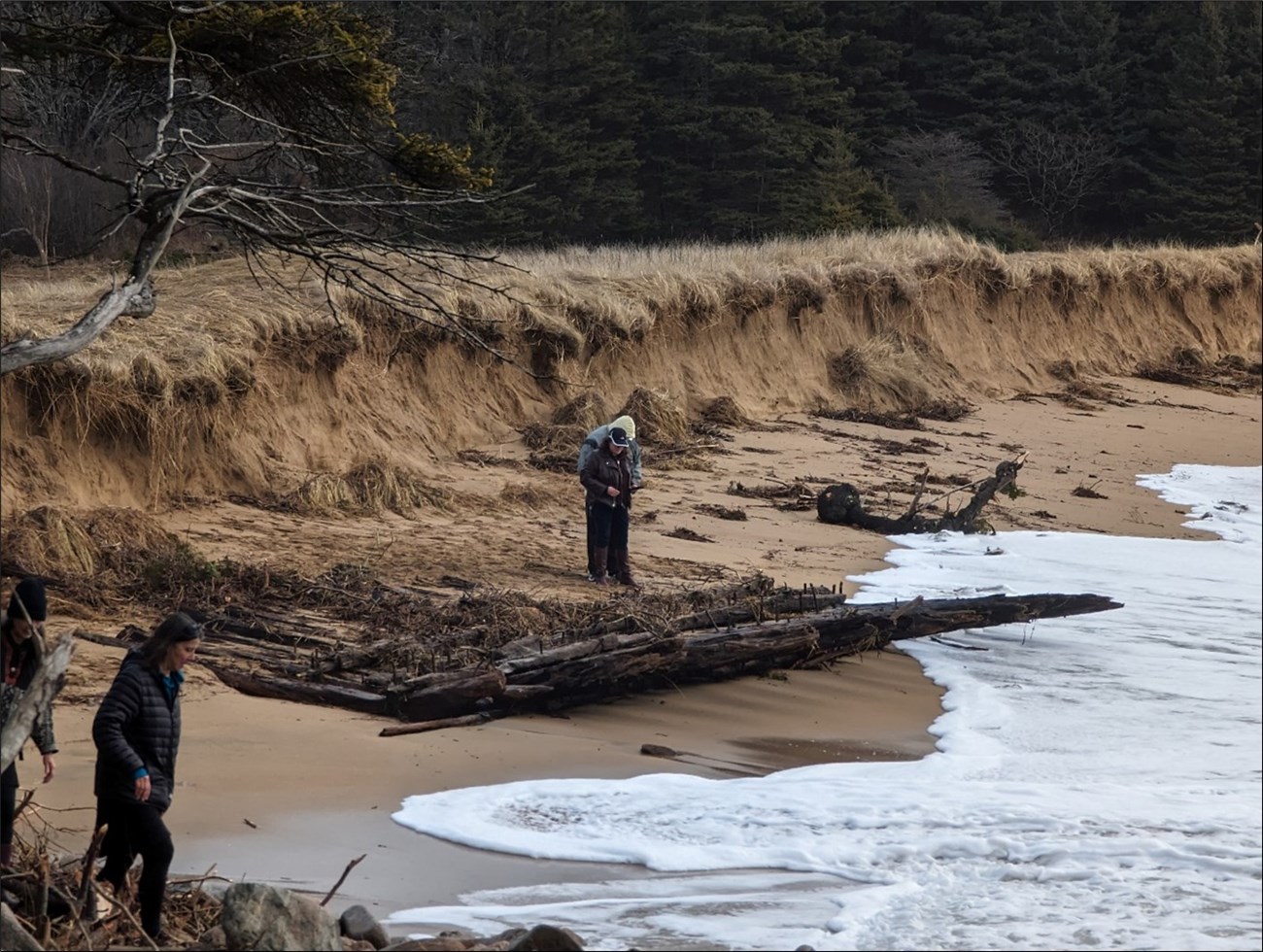 Two people survey boards on an eroded shoreline