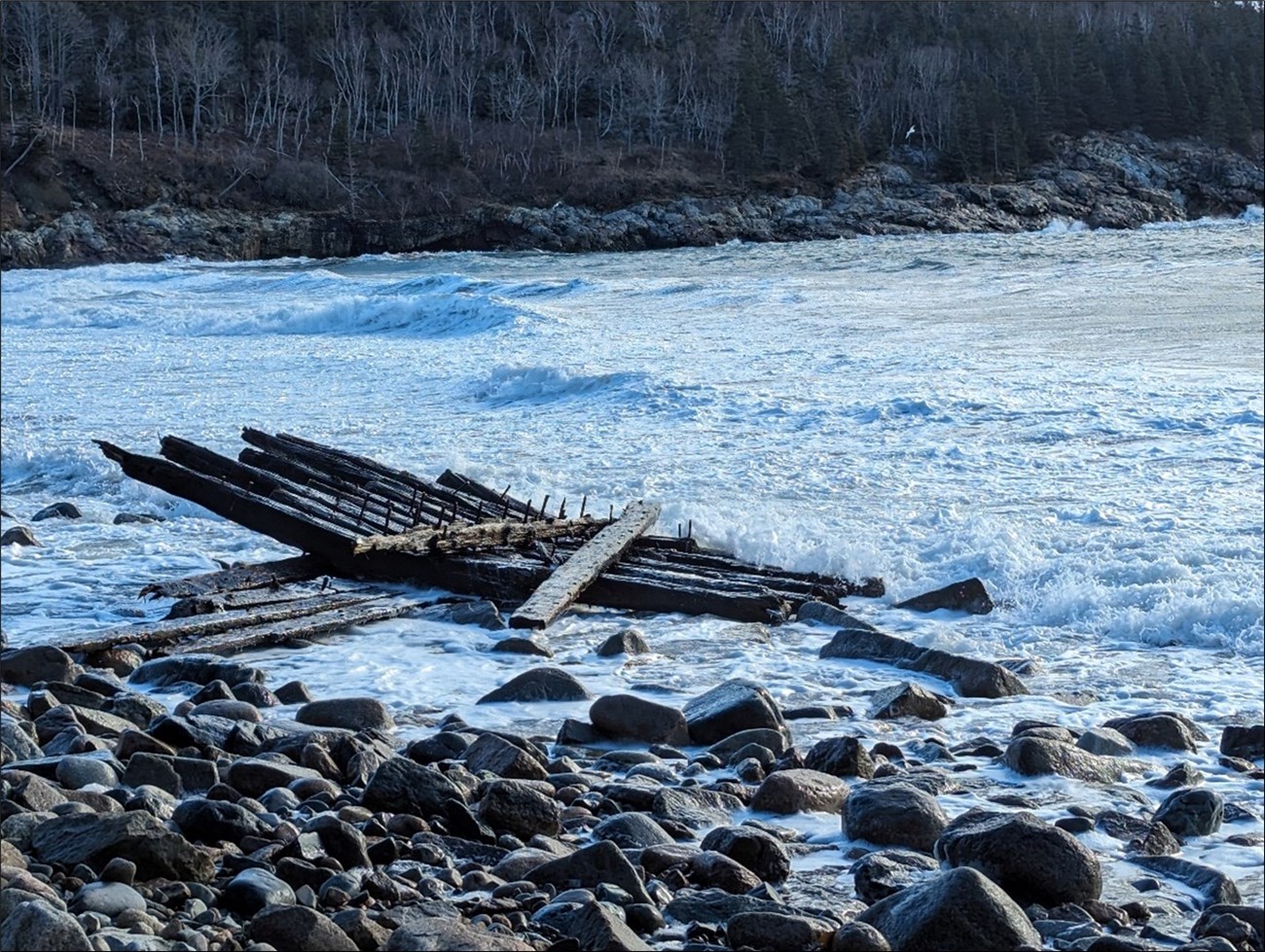 Boards in the water with a rocky shore