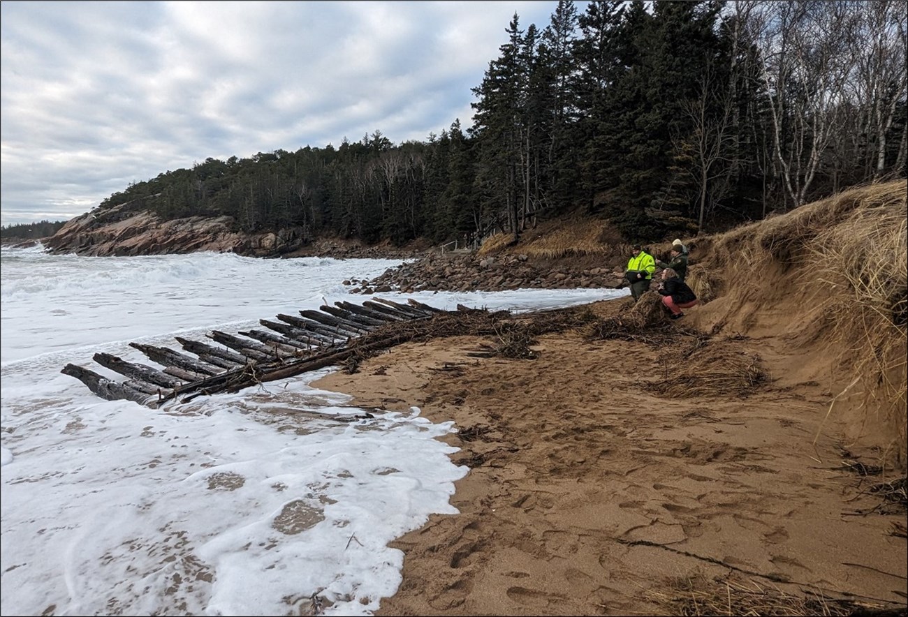 Person views wooden ship remains on beach