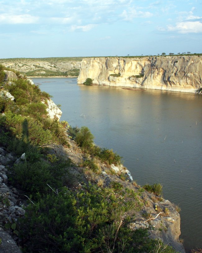 Cactus and shrubs on the side of a cliff with a wide river along it.