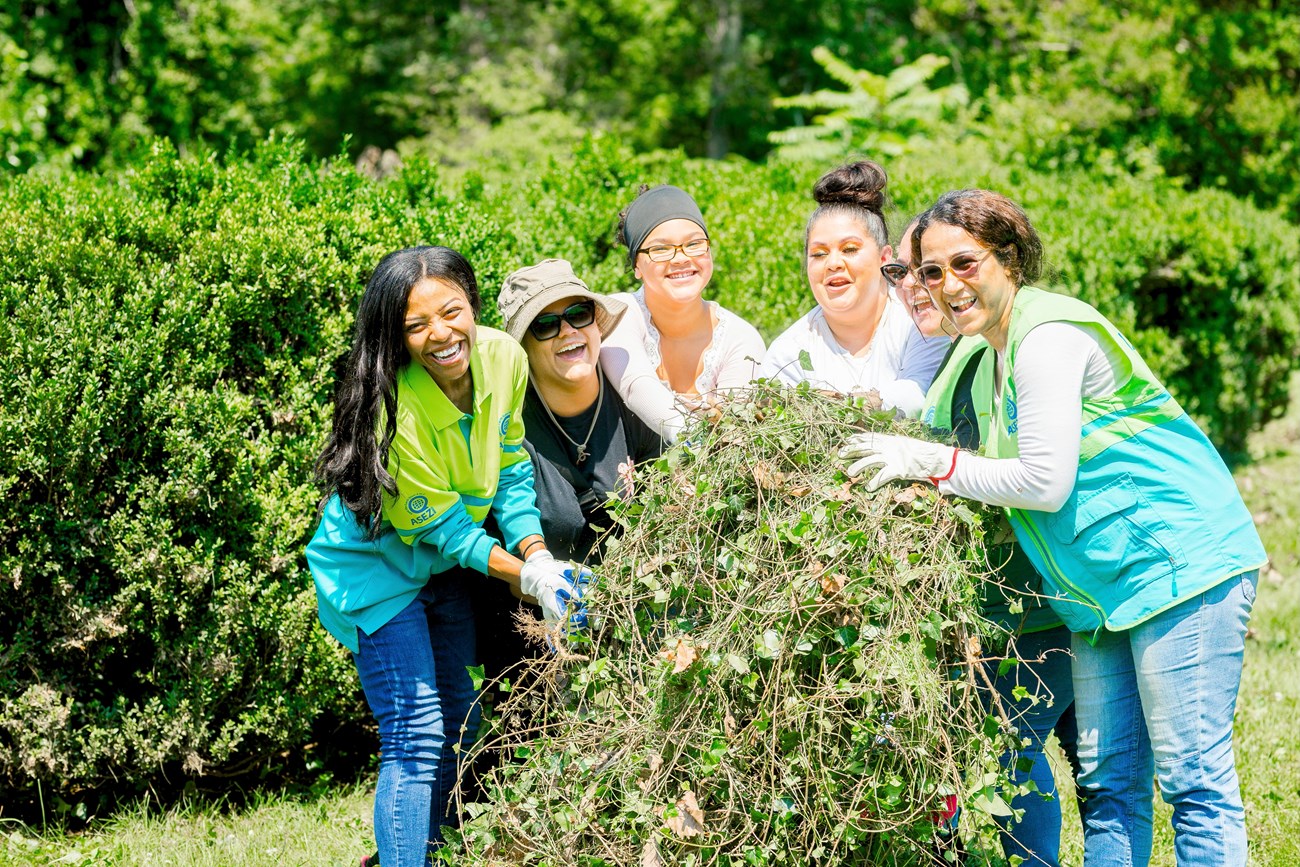 Six volunteers from the ASEZ WAO volunteer organization remove invasive plants from the grounds around Chatham.