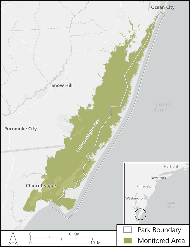 Map of the Assateague Island National Seashore estuarine systems which are monitored for nutrient enrichment, and located in Maryland and Virginia.