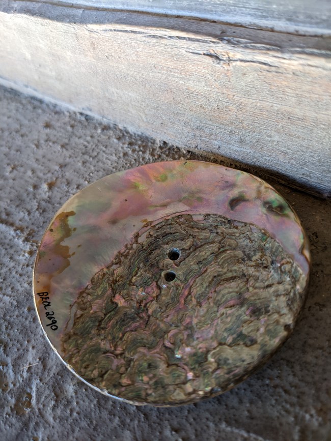 A mid 1800s replica button made from abalone rests on a window sill