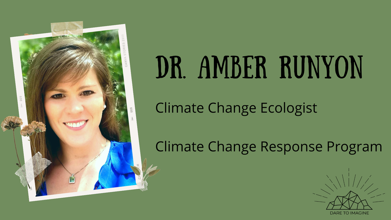 graphic of a portrait of a women, text reads Dr. Amber Runyon Climate Change Ecologist