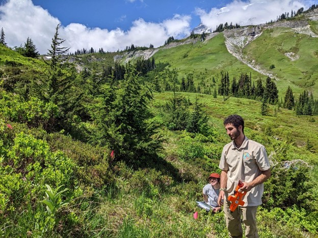 Alpine landscape with an individual at a plot conducting measurements