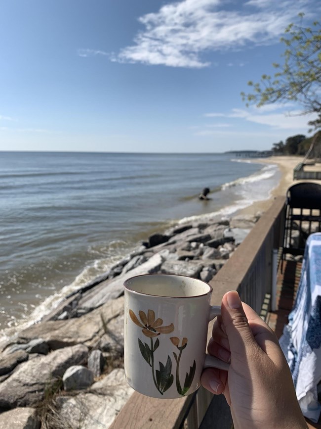 Hand holding a mug near a shoreline