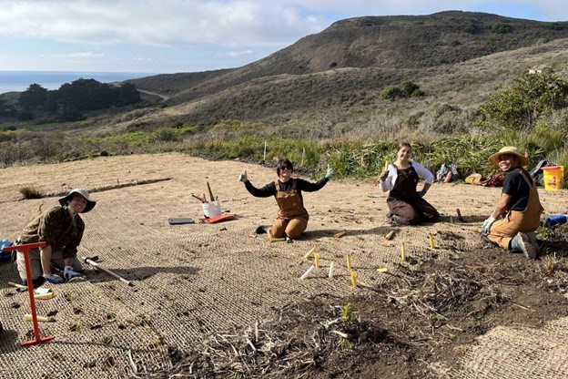 Four young individuals planting