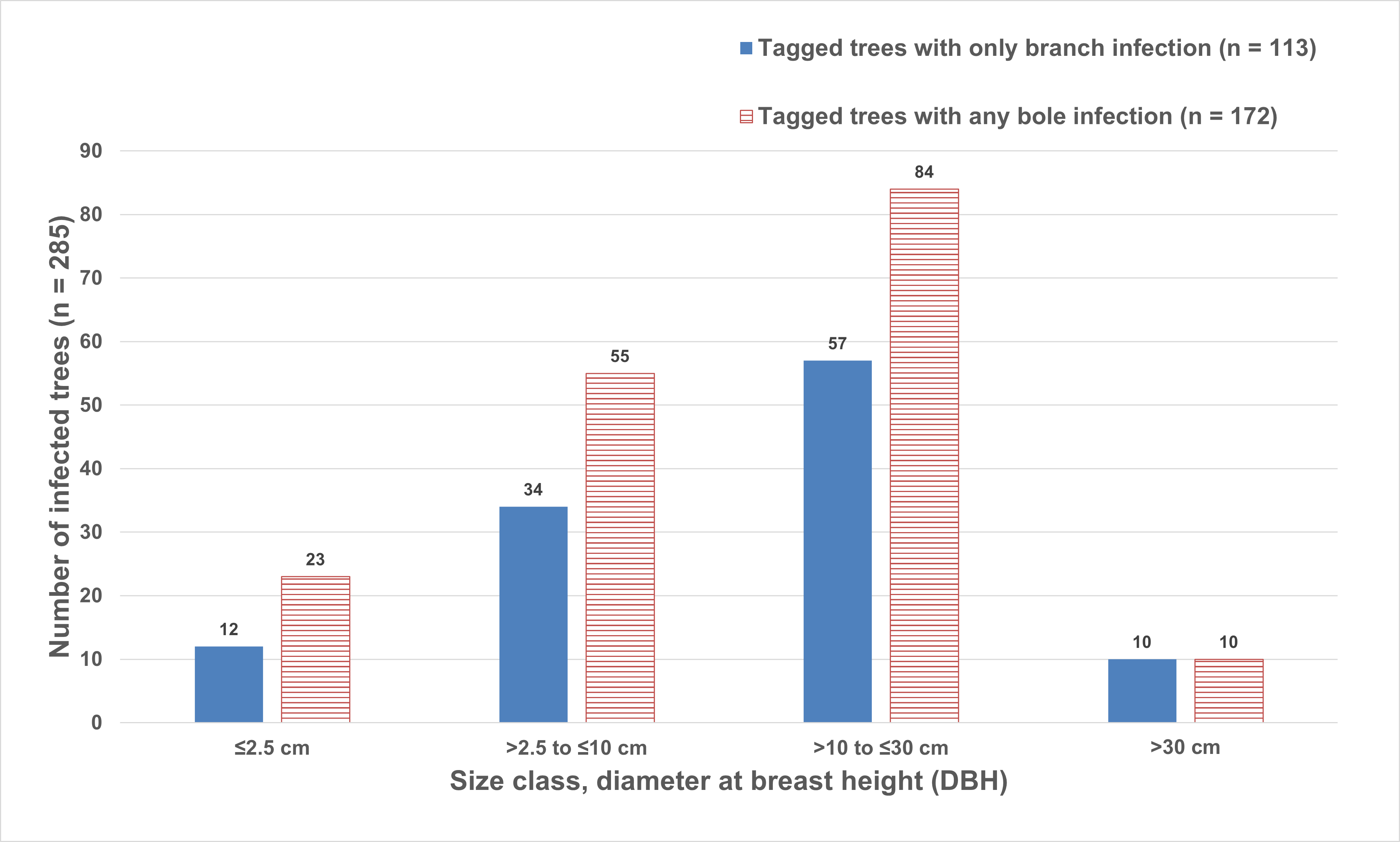 Graph of the number of whitebark pine trees infected with blister rust in 2023, showing most infected trees in the 2.5-30 cm dbh size class and more trees with bole infections than branch infections.