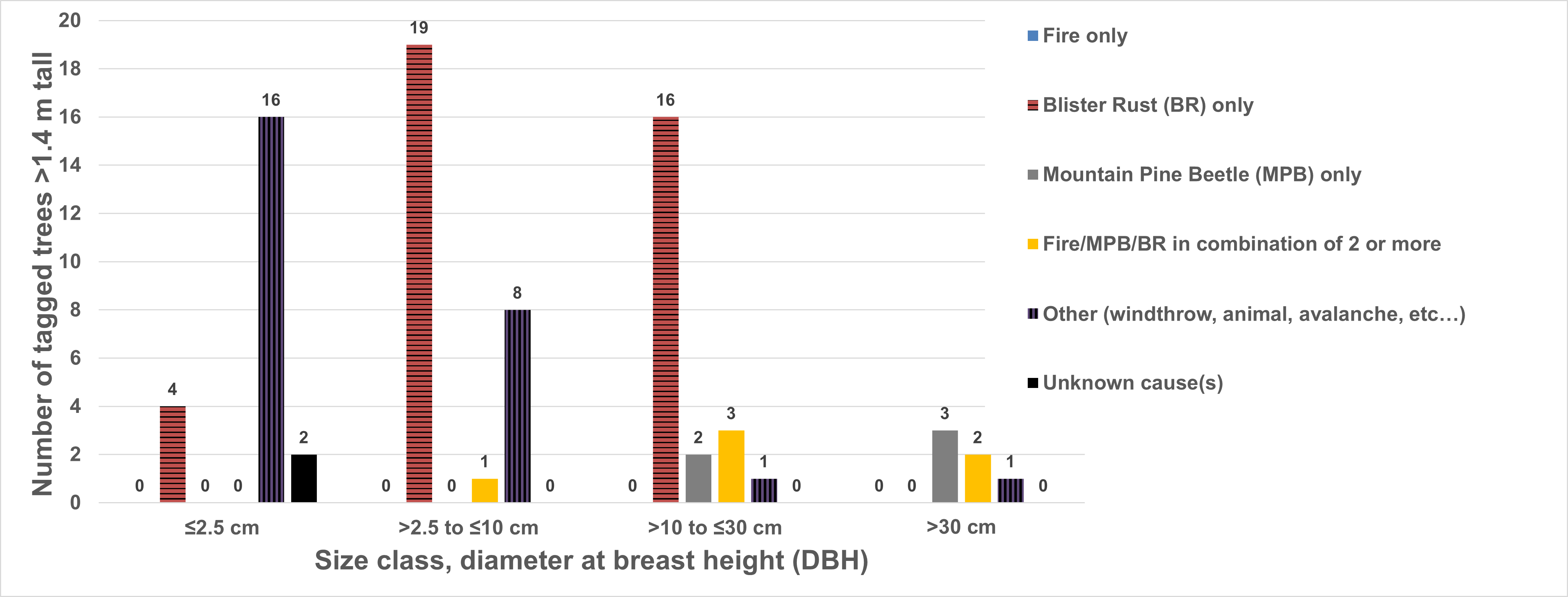 Graph of newly dead whitebark pine trees detected in 2023, showing that most of the trees were associated with evidence of blister rust only.