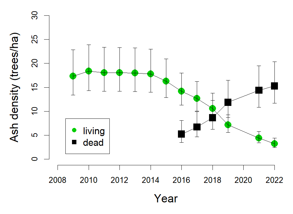 Ash Tree Update 2022 (U.S. National Park Service)