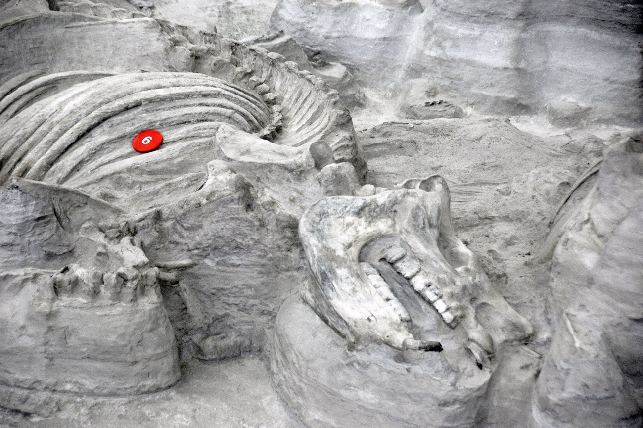 Photo of a fossil quarry