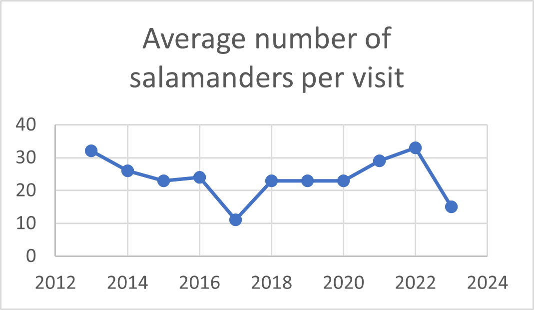scatterplot graph showing the average number of salamanders found per visit for years from 2013 to 2023