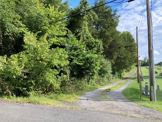 A two-track gravel road extends from a paved roadway in the foreground and is bordered by woods in summer leaf at left and a grassy cemetery at right.