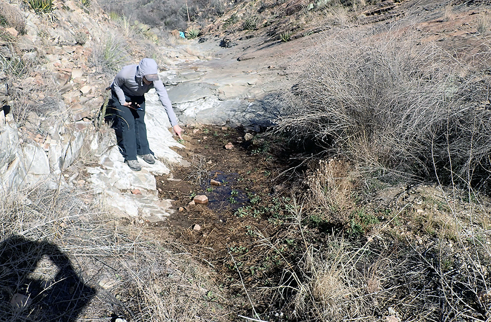 A person pointing to a shallow pool surrounded by bedrock, dried shrubs and grasses.