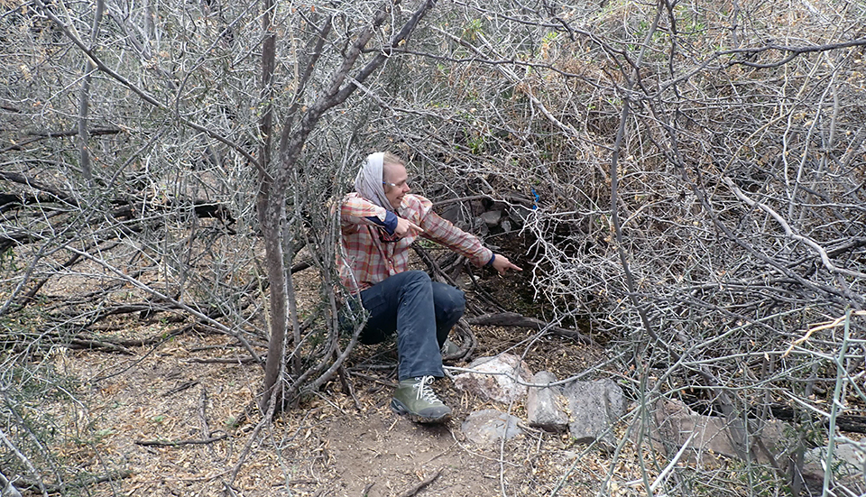 A person crouching on the edge of a pool pointing at stagnant water that is barely discernable beneath thick, leafless brush and is surrounded by leaf litter.