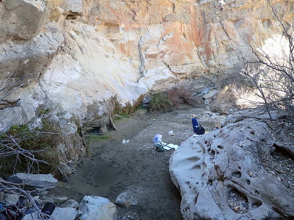 Green plants and ferns hanging on a cliff wall that trickles water under the ferns down into a pool of water surrounded by large boulders and gravel deposits.